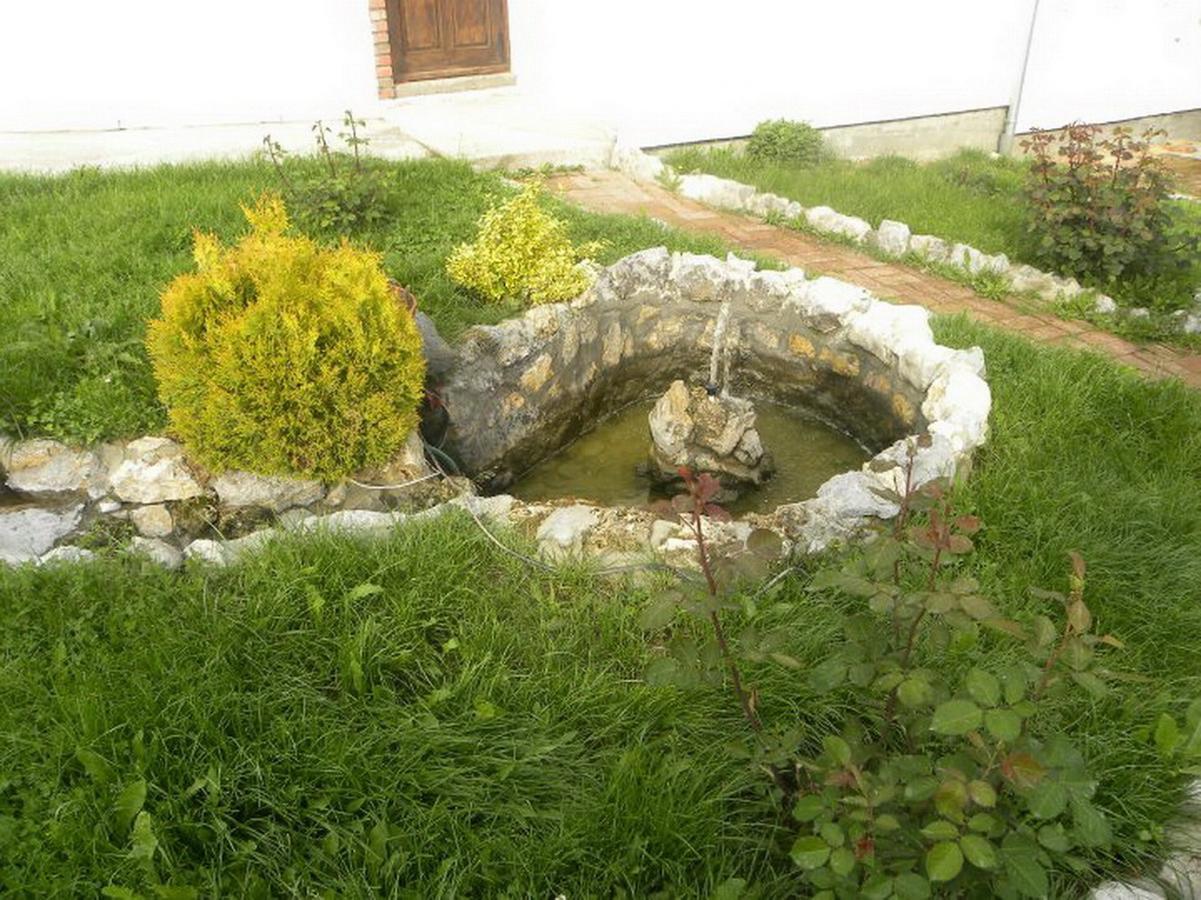 Bed and Breakfast Panorama Lomnica Despotovac Exteriér fotografie